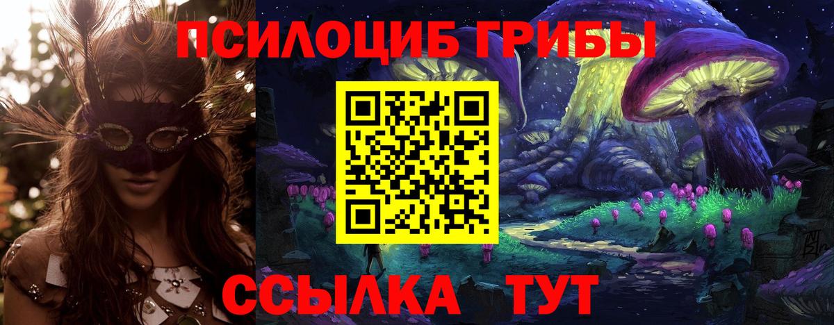 Россия  Галлюциногенные грибы MAGIC MUSHROOMS  Вход с VPN 